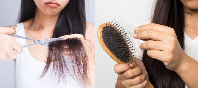 女性髮質隨年齡變化示意圖