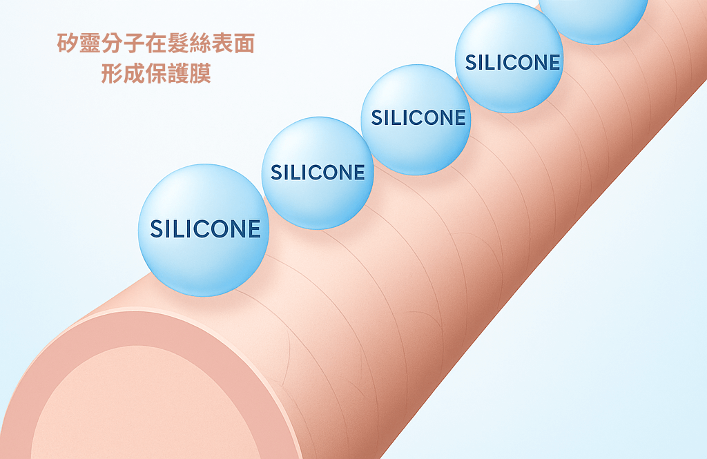 矽靈在髮絲形成保護層示意